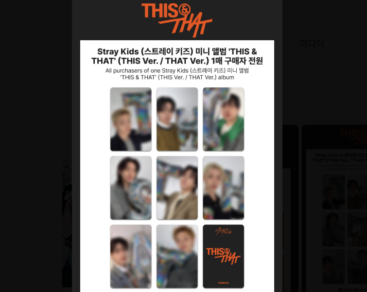 (~09/06) straykids make star LD (OT8)