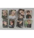 Each 1.0) SKZ Aladin POB
